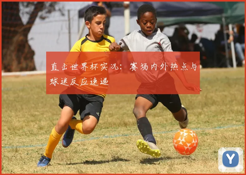 直击世界杯实况：赛场内外热点与球迷反应速递