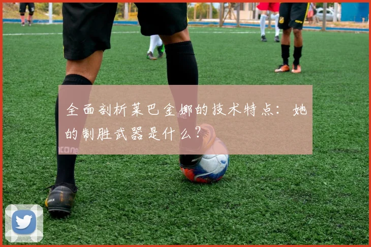 全面剖析莱巴金娜的技术特点：她的制胜武器是什么？