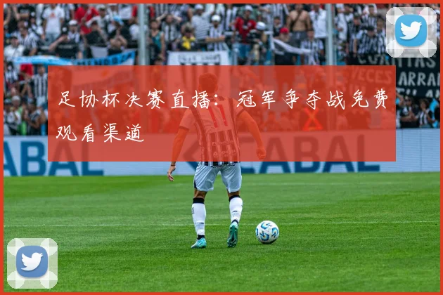 足协杯决赛直播：冠军争夺战免费观看渠道