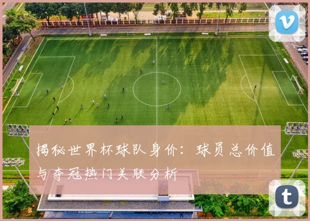揭秘世界杯球队身价：球员总价值与夺冠热门关联分析