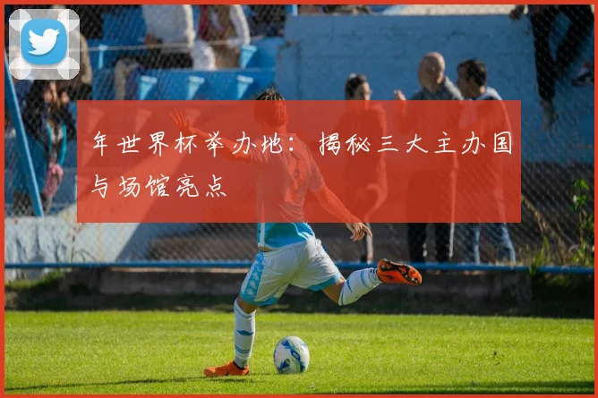 年世界杯举办地：揭秘三大主办国与场馆亮点