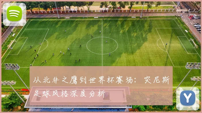 从北非之鹰到世界杯赛场：突尼斯足球风格深度分析