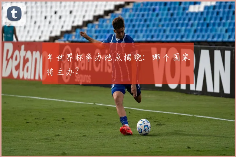 年世界杯举办地点揭晓：哪个国家将主办？