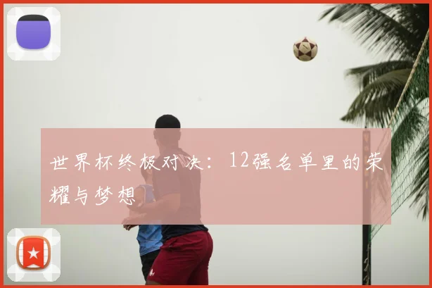 世界杯终极对决:12强名单里的荣耀与梦想